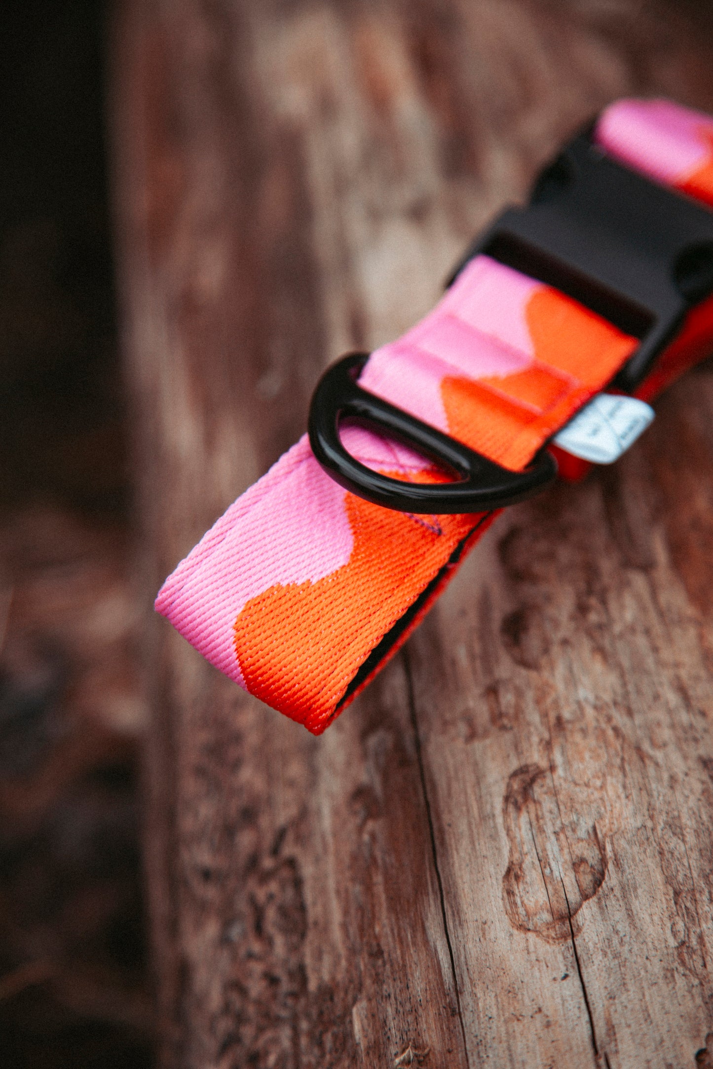 Hundehalsband | Coral Heat | verstellbares Halsband für Hunde