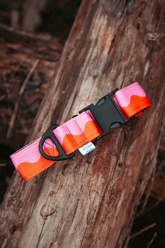Hundehalsband | Coral Heat | verstellbares Halsband für Hunde