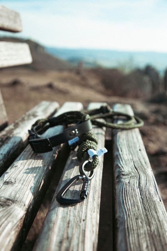 Hundeleine - Northern Summit Collection „Mountain Climber“