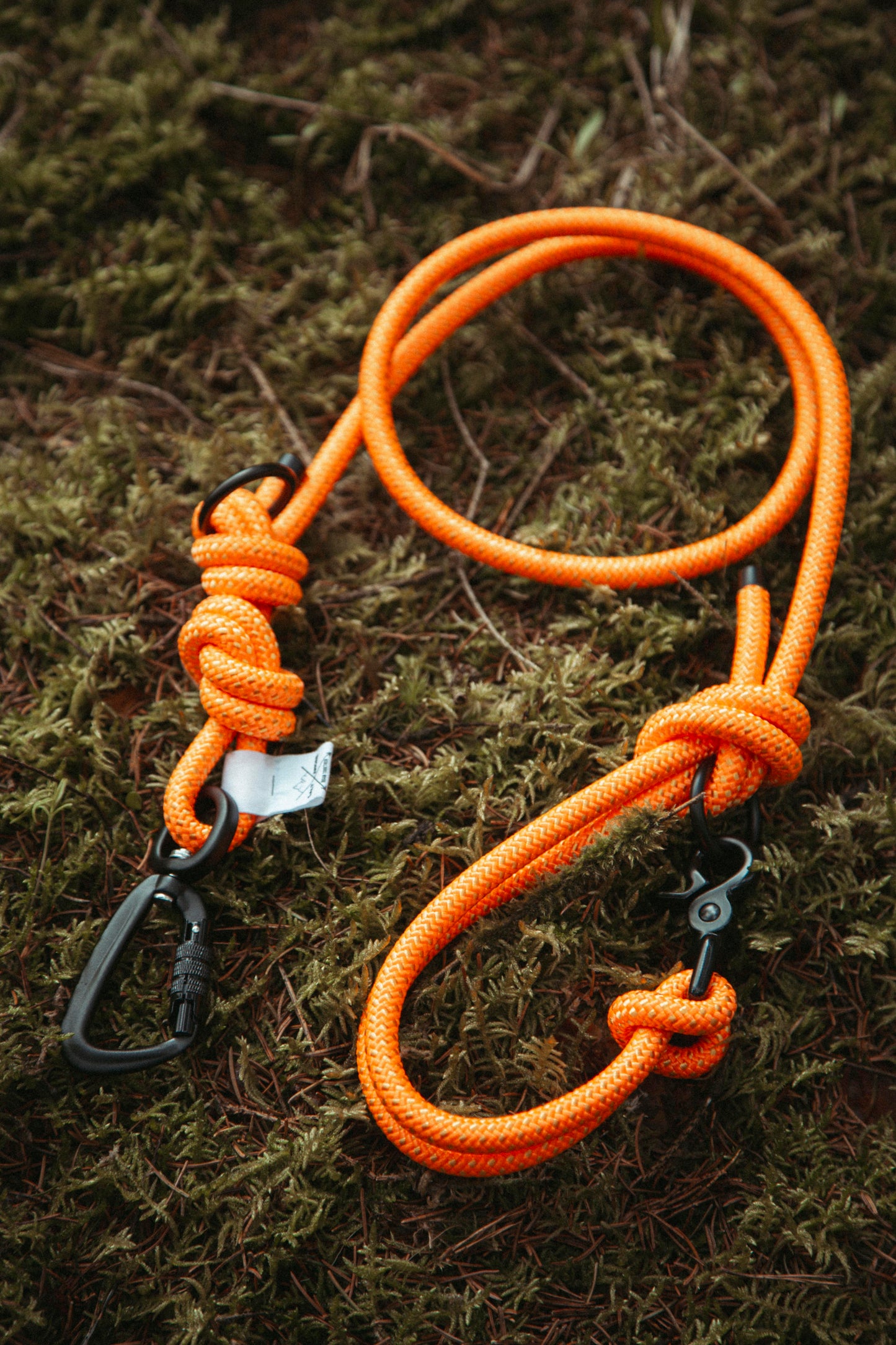 Führleine | Mountain Climber | Verstellbare Outdoor Hundeleine aus Kletterseil
