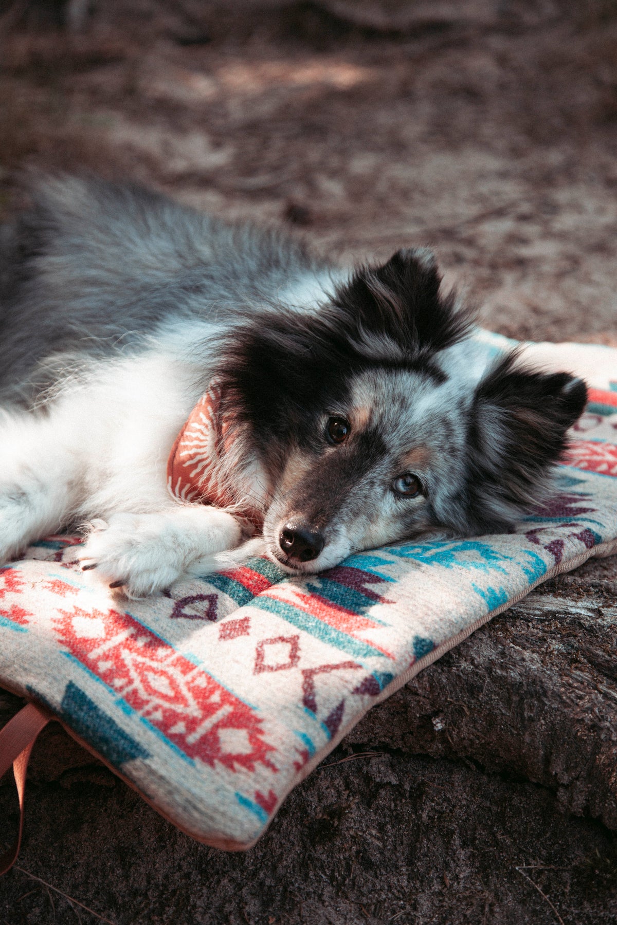 Northwood - Basecamp | Travel Blanket