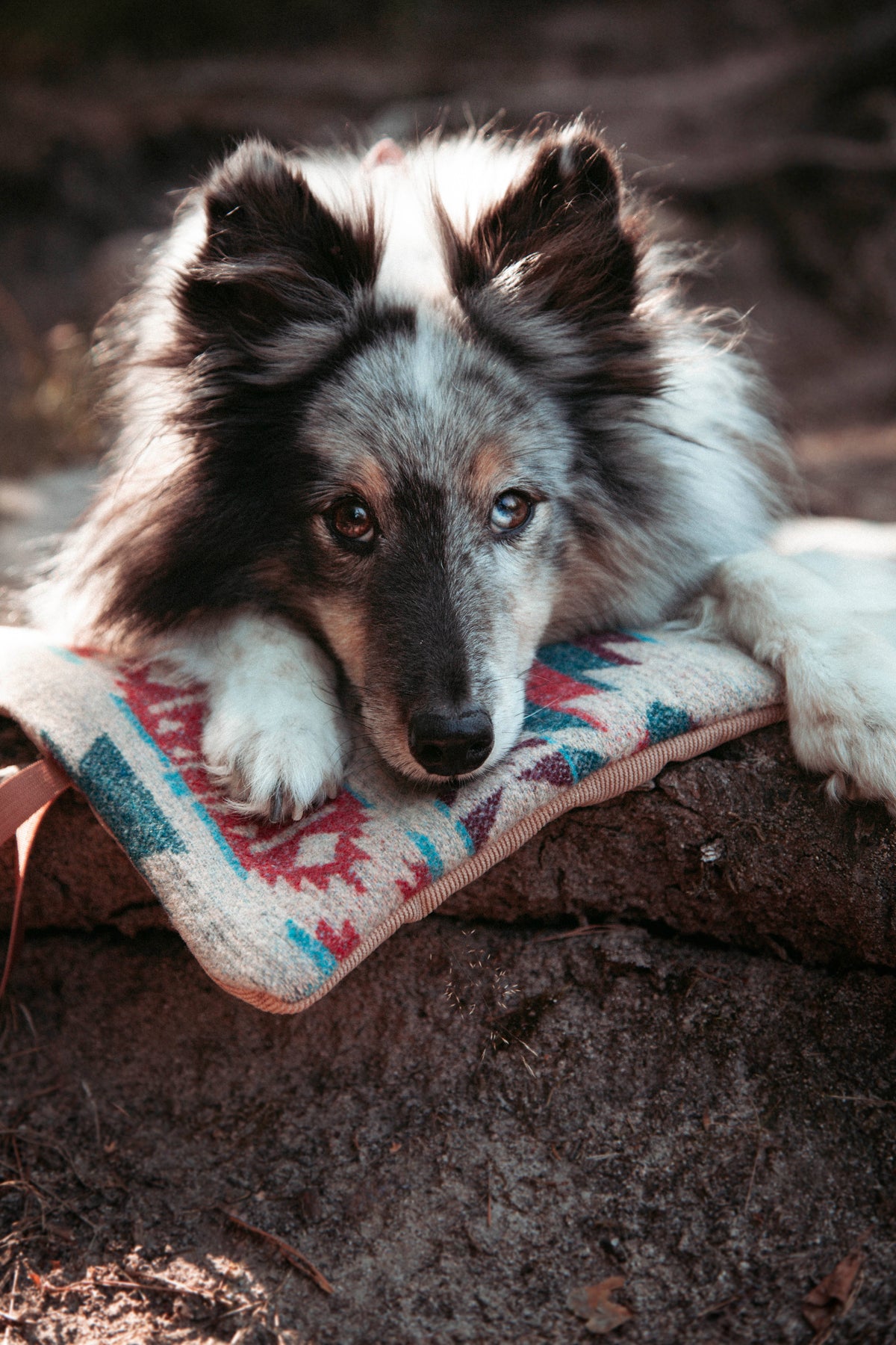 Northwood - Basecamp | Travel Blanket