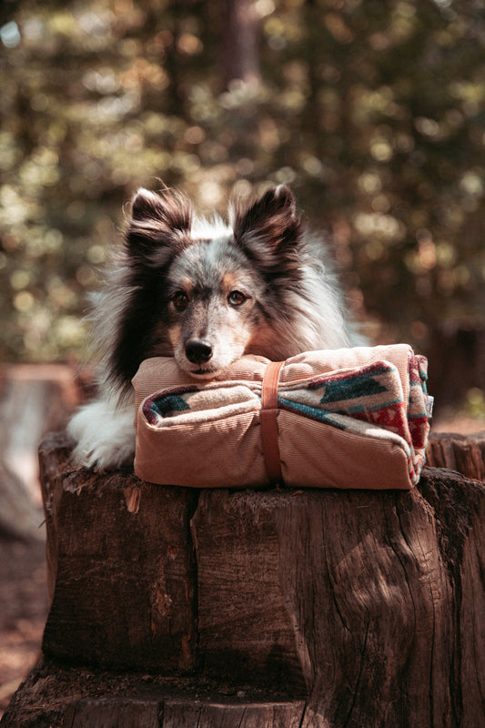 Travel Blanket | Basecamp | Northwood Collection