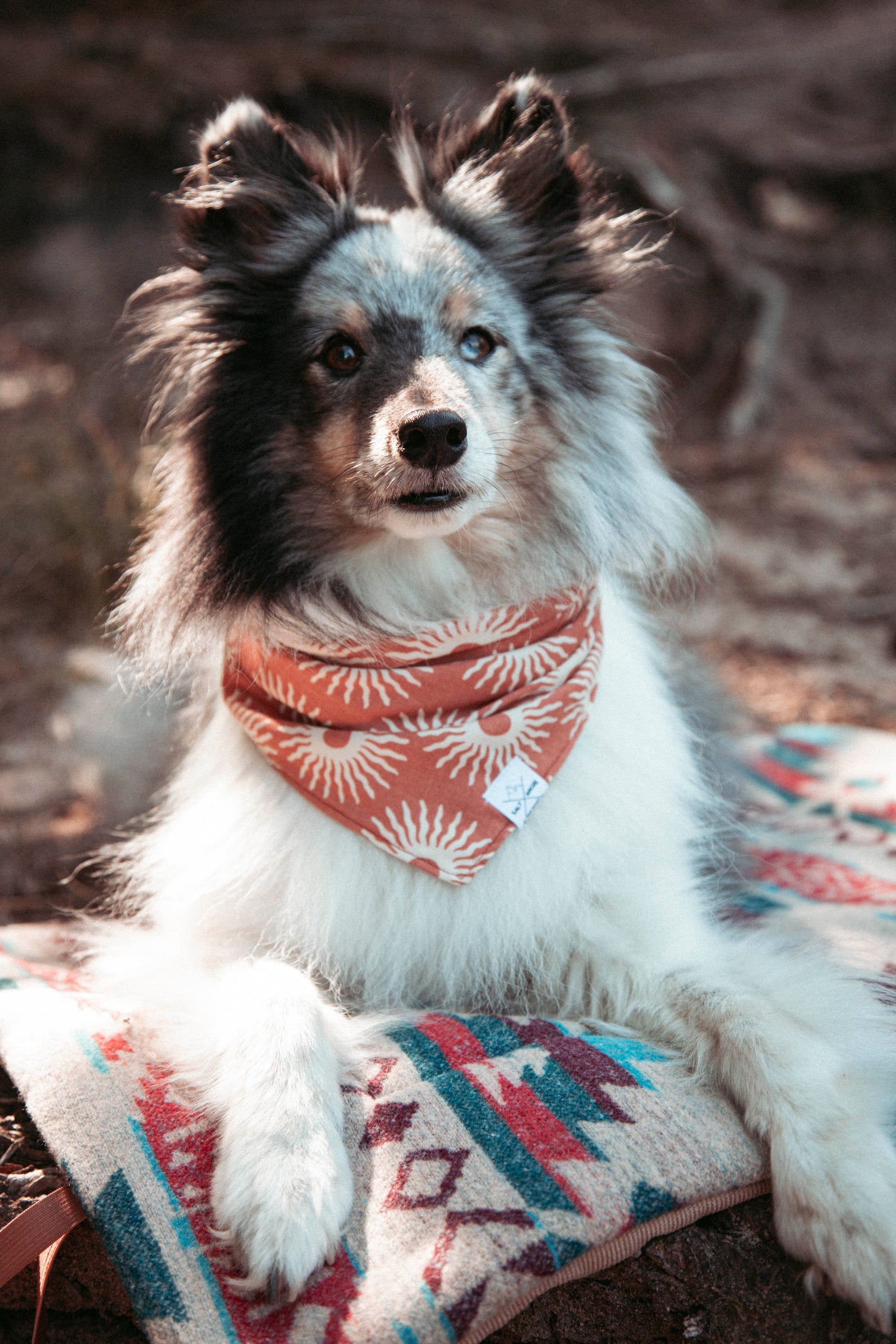 Hundehalstuch Solstice | Handgemachtes Bandana im Bohostil