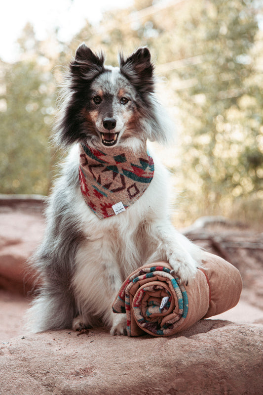 Hundehalstuch | Northwood