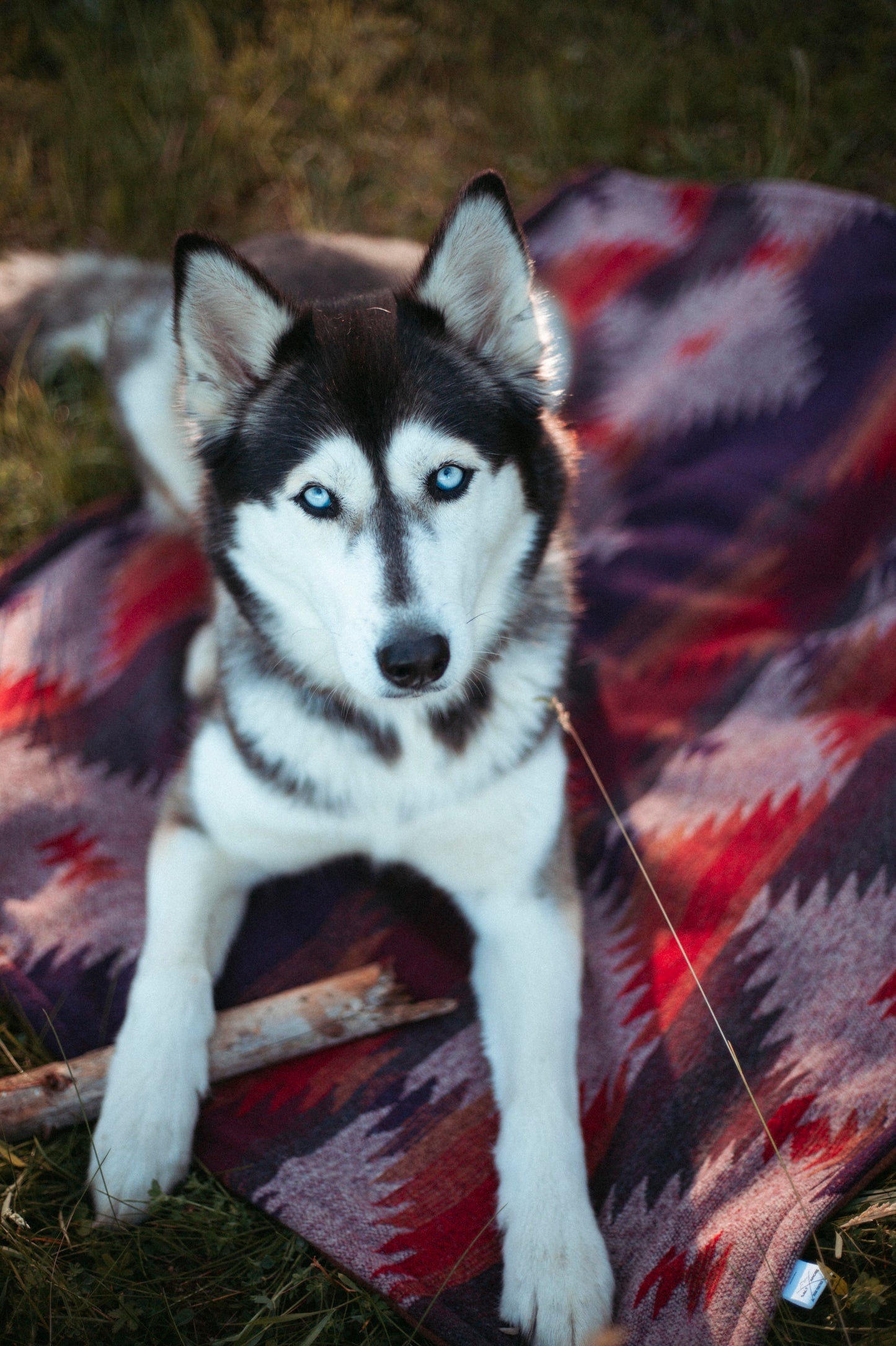 Cozy Camp Blanket | Wildcamp