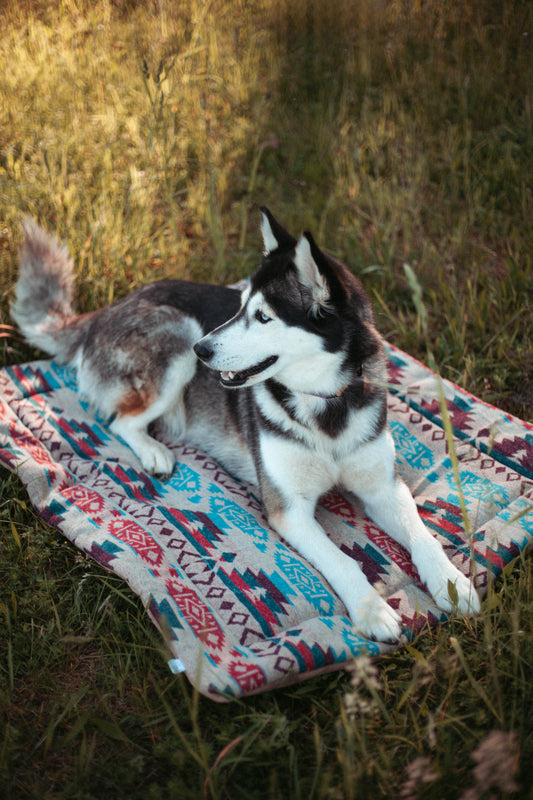 Travel Blanket | Basecamp | Northwood Collection