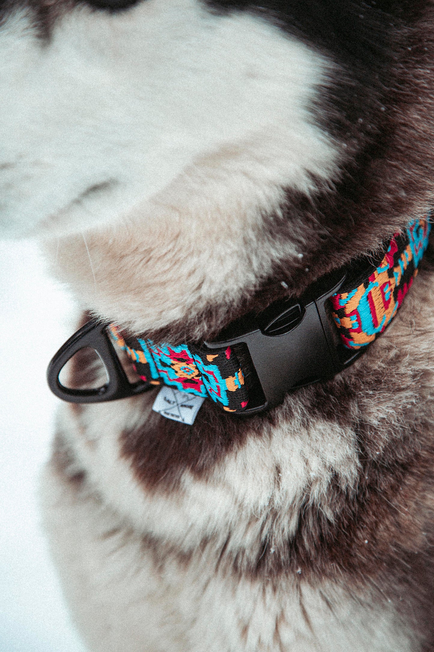 Hundehalsband - Northern Summit Collection - Ice Peak