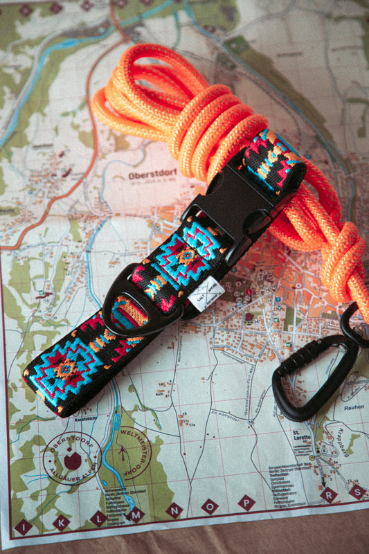 Verstellbares Hundehalsband | Ice Peak