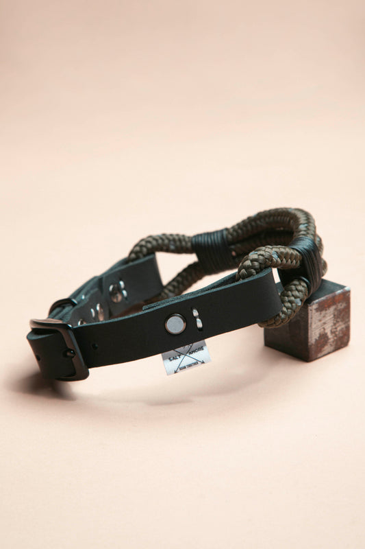Hundehalsband - Northern Summit Collection „Mountain Climber“