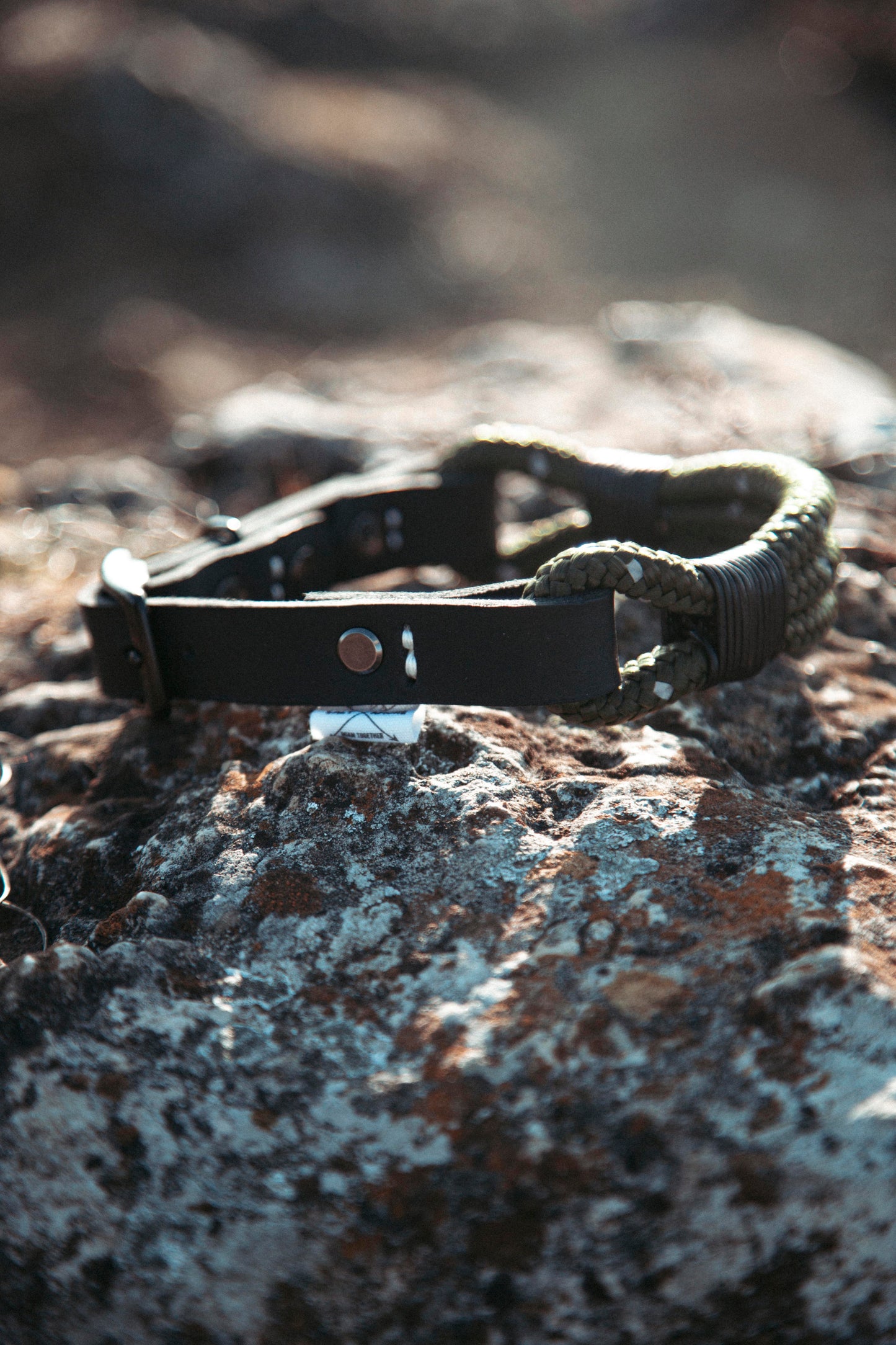 Hundehalsband Mountain Climber | Northern Summit Collection