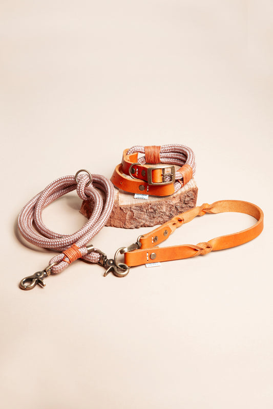 Multifunktionale - Hundeleine - Wilderness