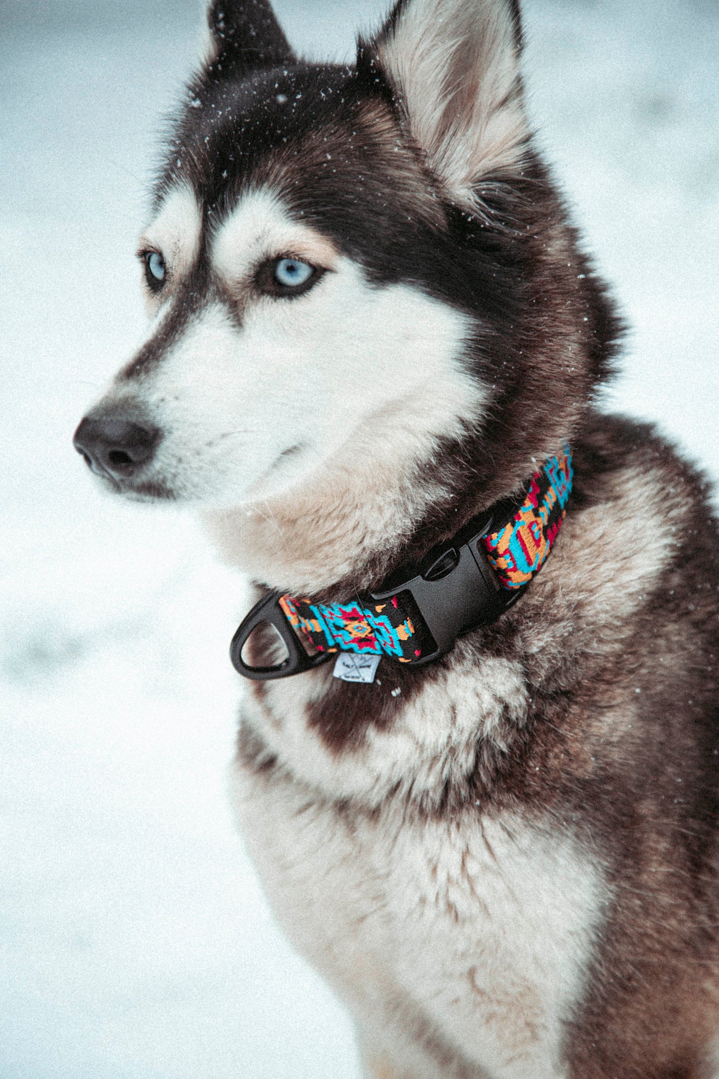 Hundehalsband - Northern Summit Collection - Ice Peak