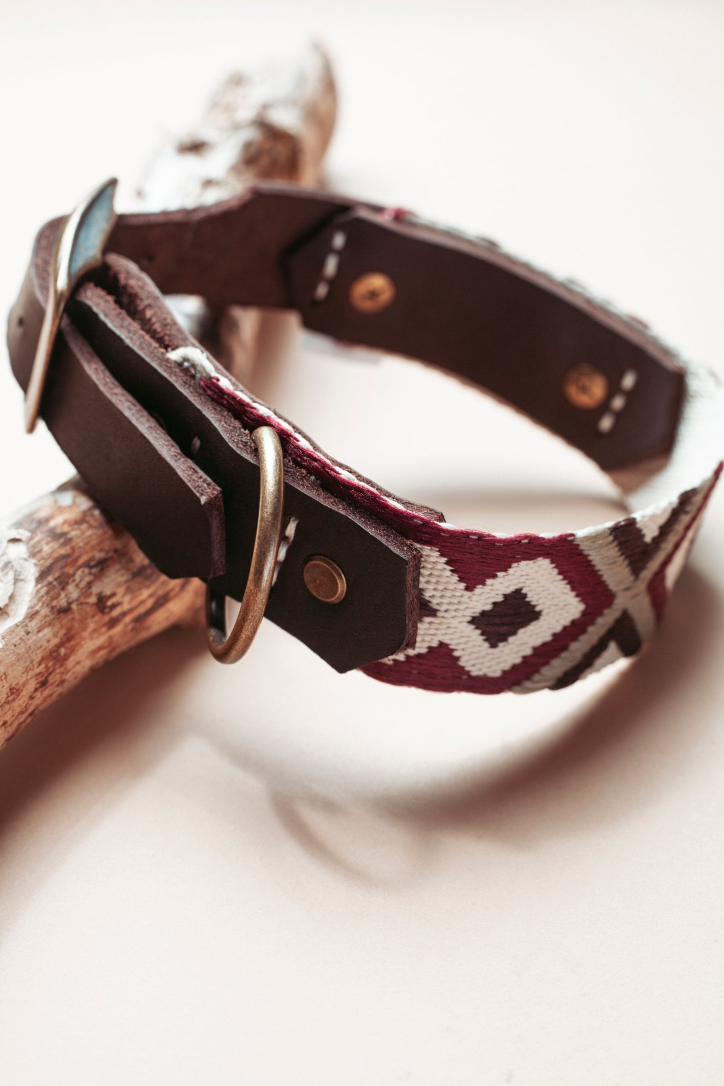 Hundehalsband - Roamer