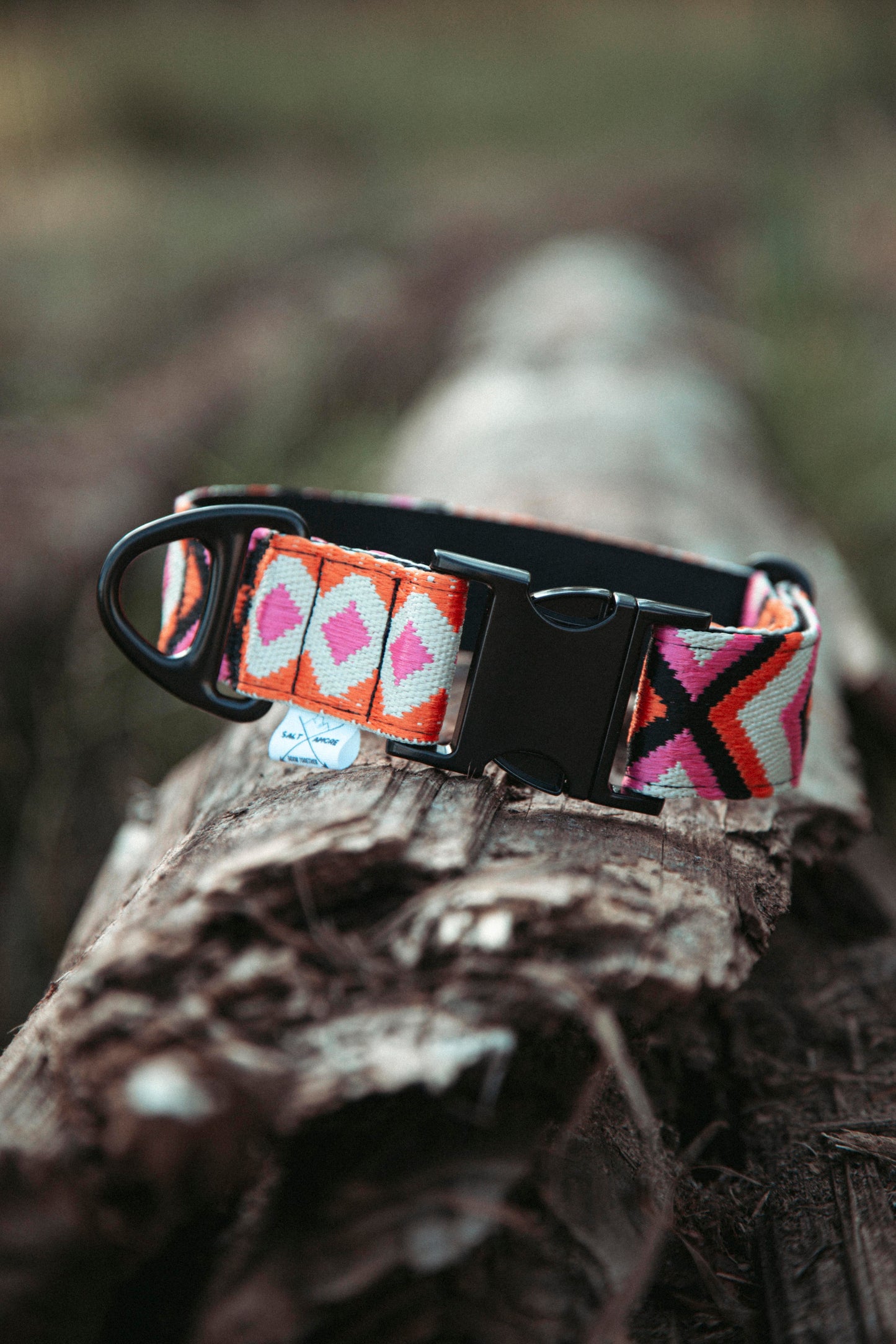 Hundehalsband | Wild Nomad | verstellbares Halsband für Hunde