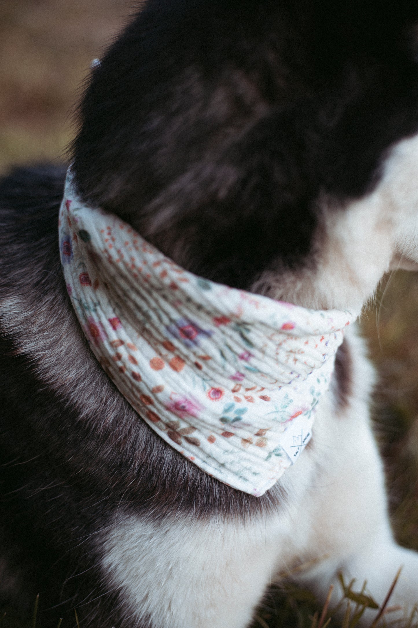 Hundehalstuch Wildflower | Handgemachtes Bandana aus Bio-Baumwolle