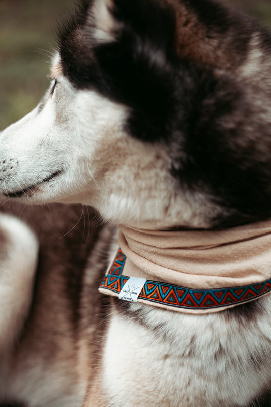 Hundehalstuch | Nomad Soul