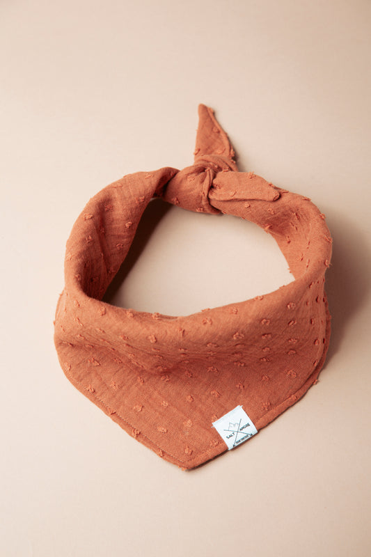 Hundehalstuch -  Outbound - Terra