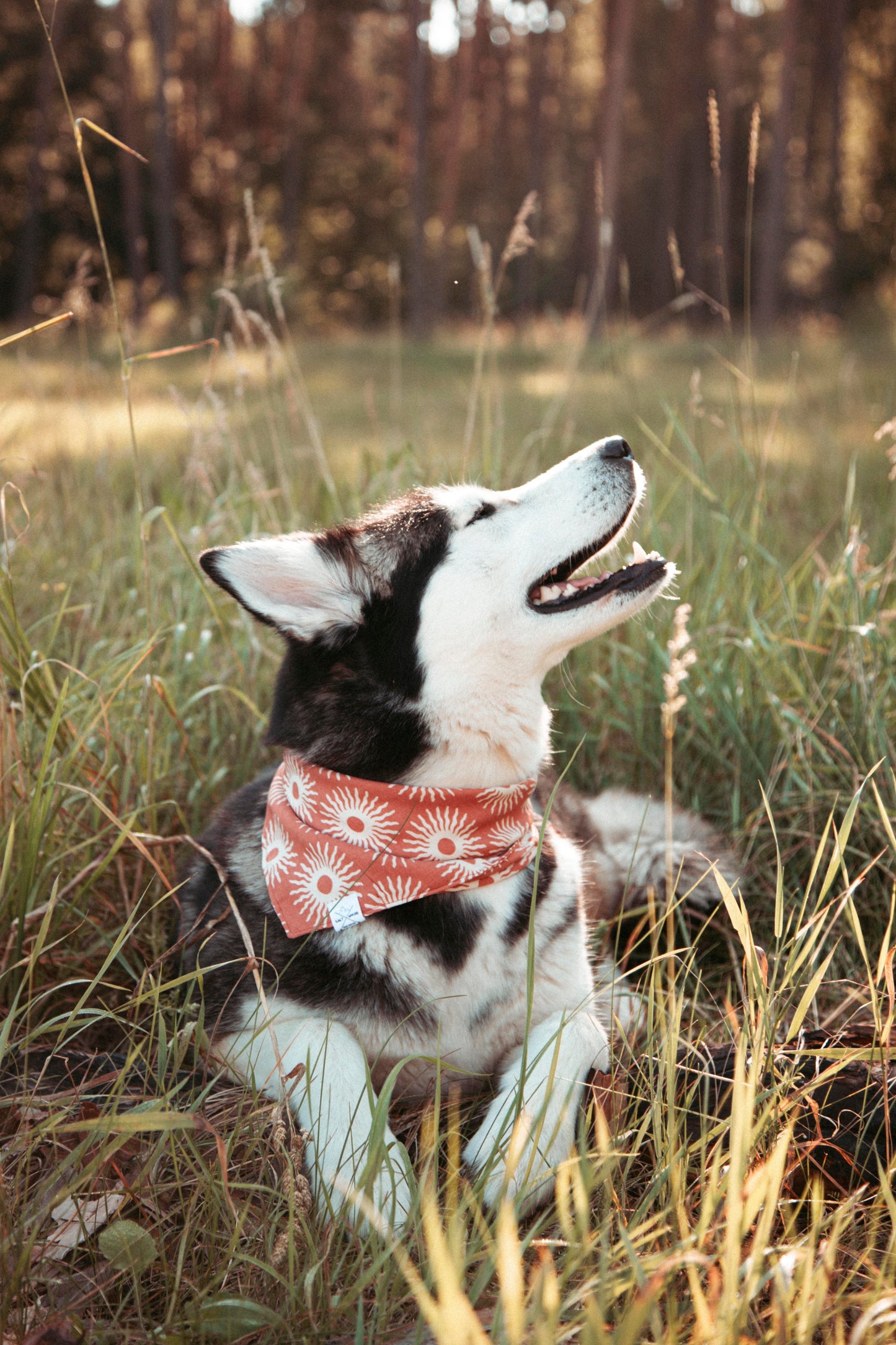 Hundehalstuch Solstice | Handgemachtes Bandana im Bohostil