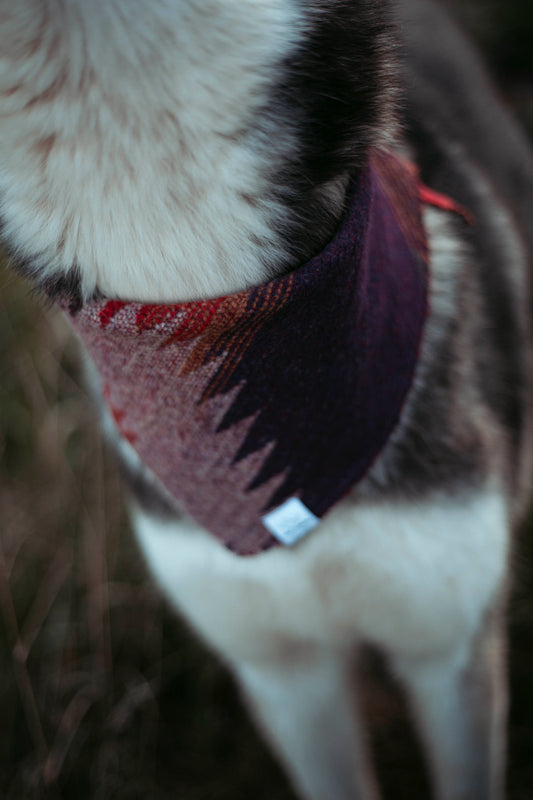Wildwood | Hundehalstuch