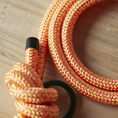 Hundehalsband Mountain Climber | Northern Summit Collection