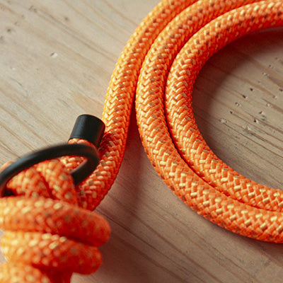 Hundehalsband Mountain Climber | Northern Summit Collection