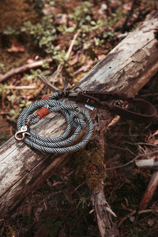 Hundeleine Highland | Multifunktionale Leine aus Paracord & Leder | Mix & Match