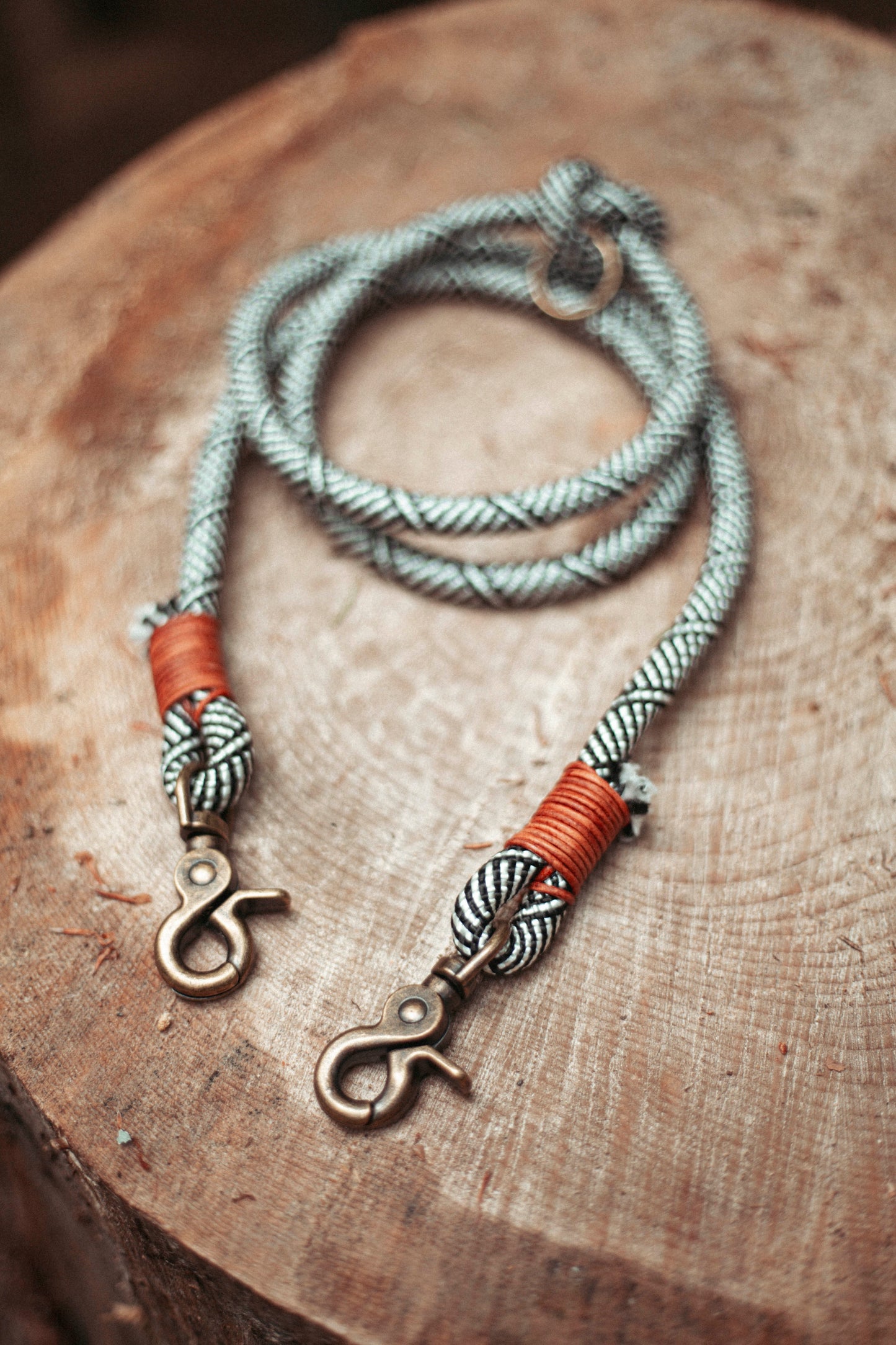 Hundeleine Highland | Multifunktionale Leine aus Paracord & Leder | Mix & Match