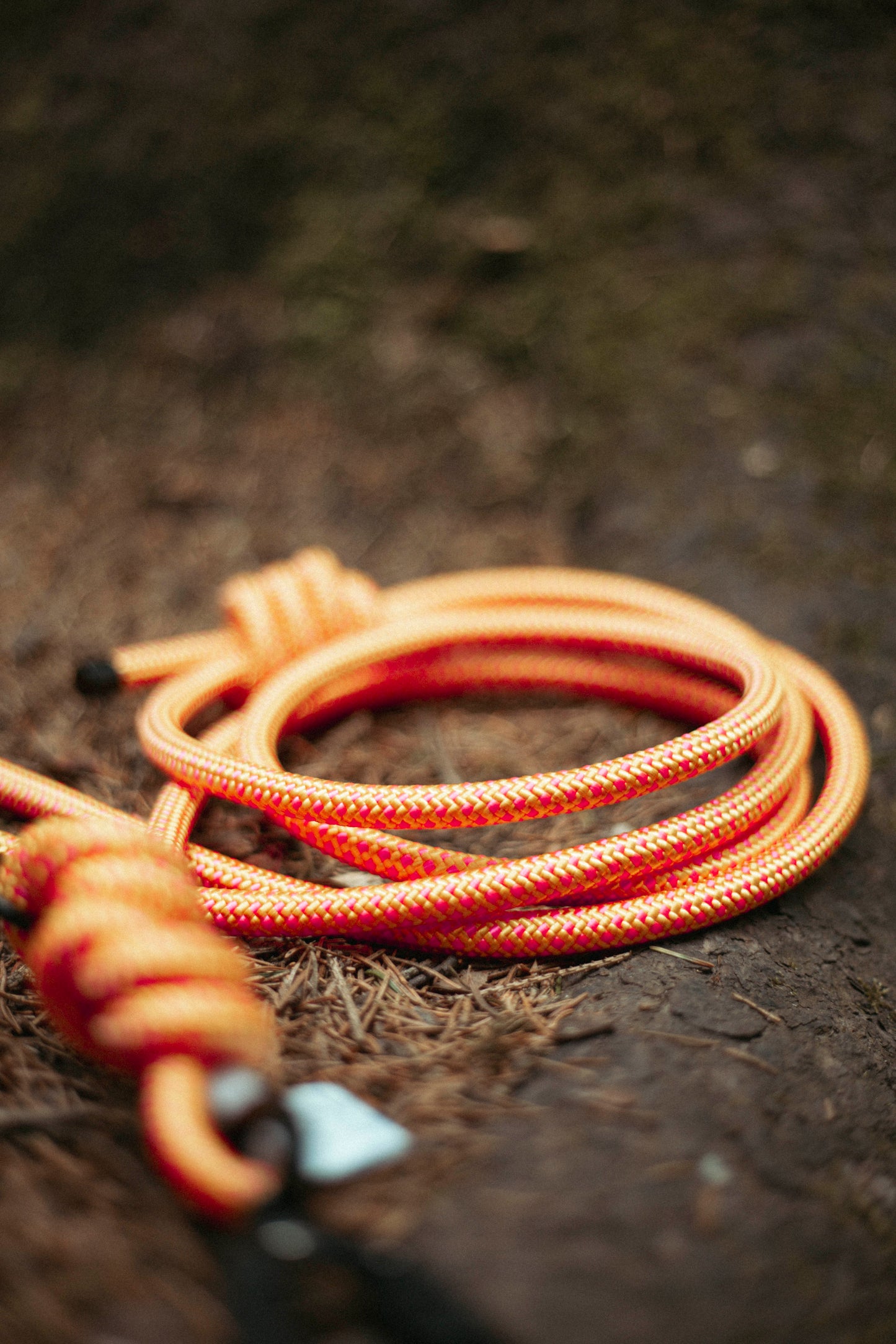 Hundeleine Mountain Climber | Outdoorleine aus Kletterseil | Stufenlos verstellbar