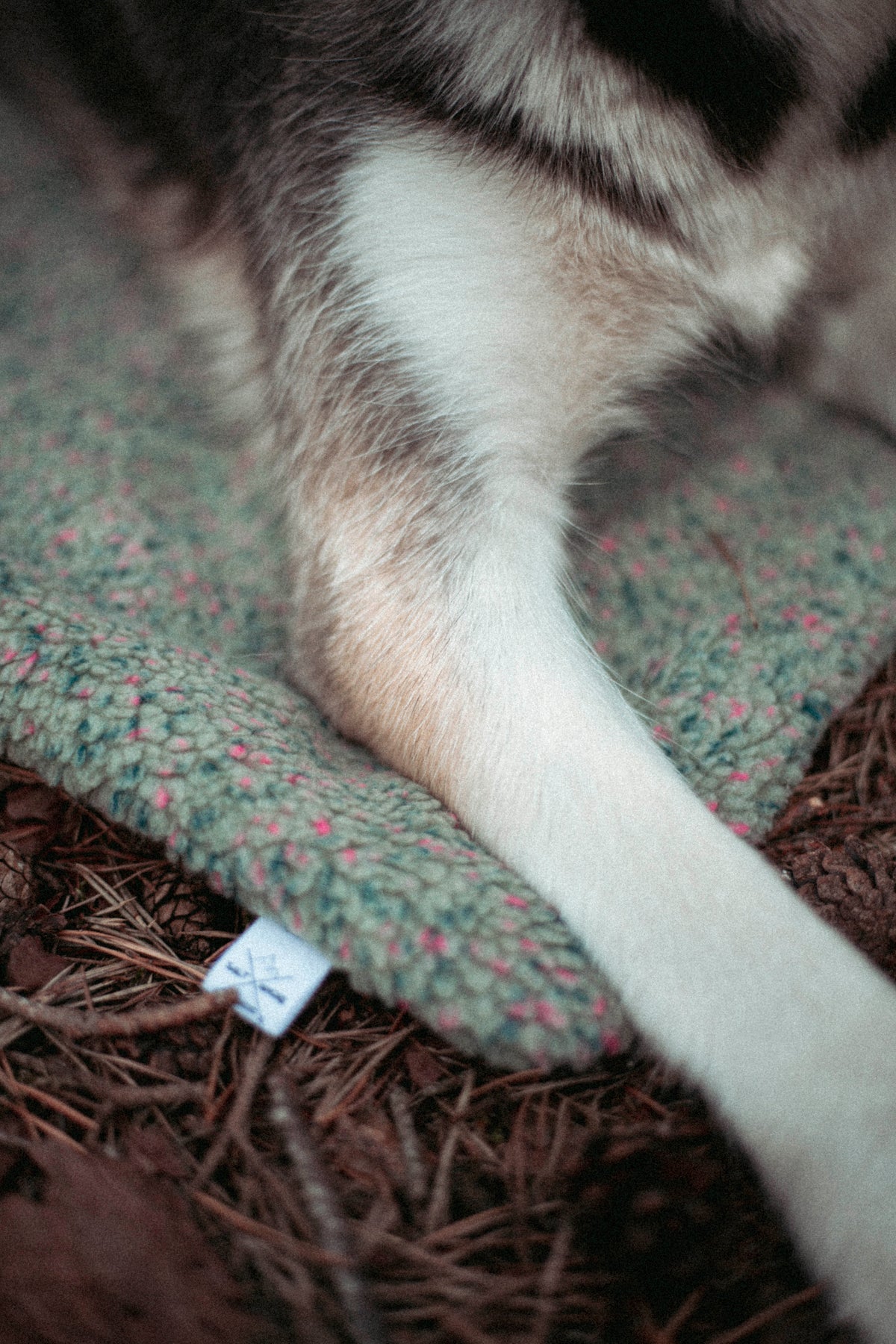 Pineberry Basecamp | Travel Blanket