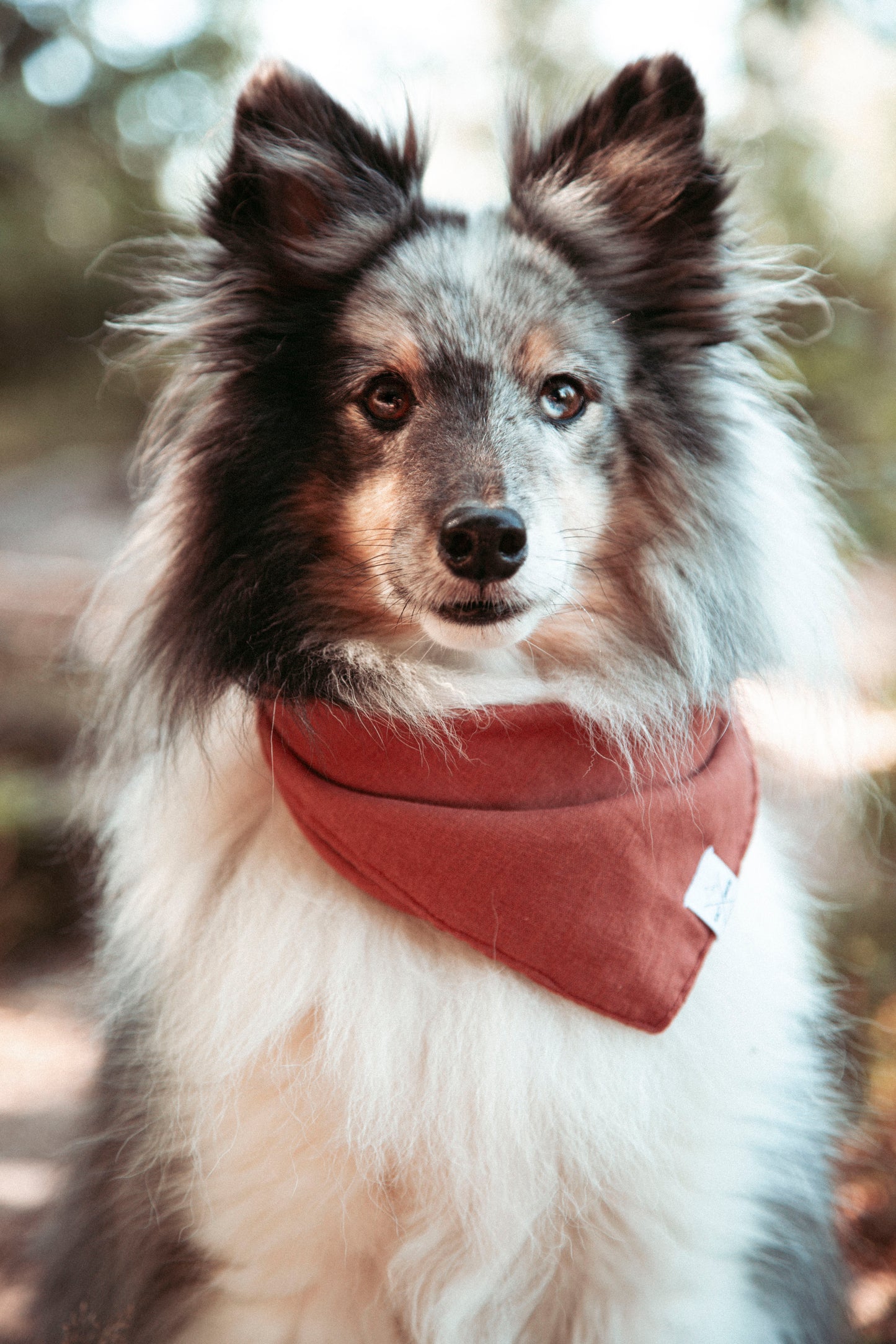 Hundehalstuch Sun Haze | Handgemachtes Bandana aus Bio-Baumwolle