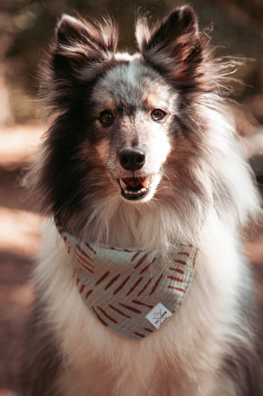 Hundehalstuch |  Wild Trails Mint
