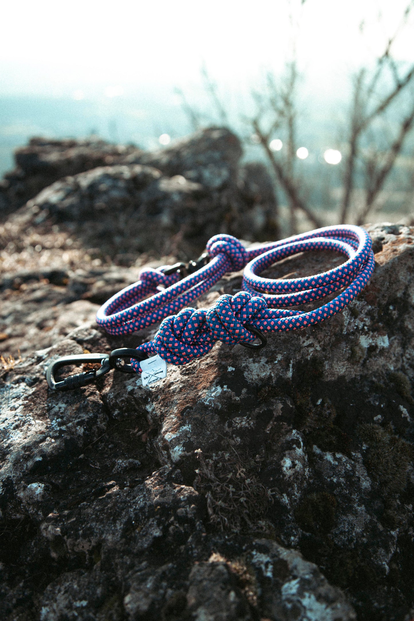 Führleine | Mountain Climber | Verstellbare Outdoor Hundeleine aus Kletterseil