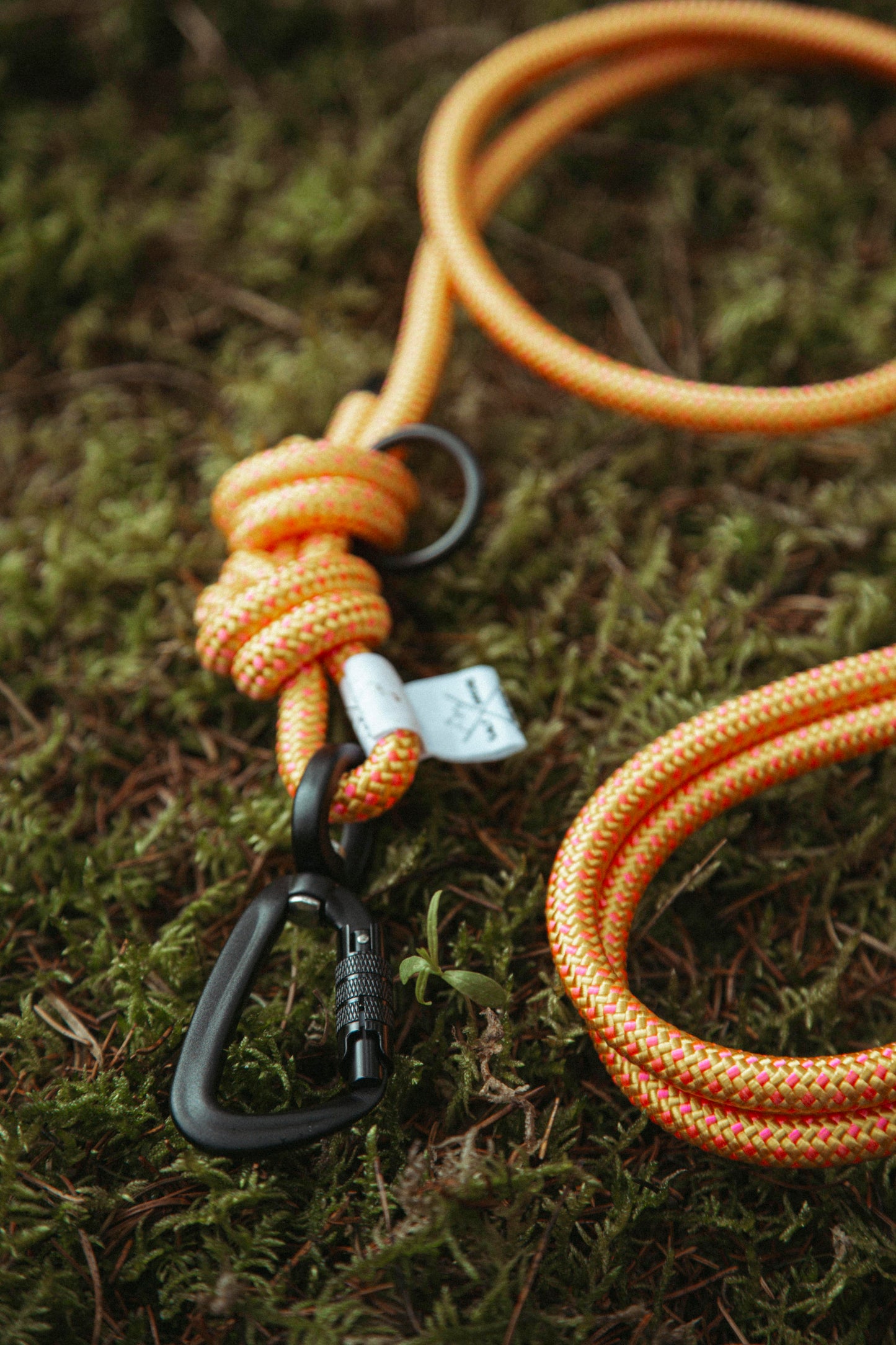 Führleine | Mountain Climber | Verstellbare Outdoor Hundeleine aus Kletterseil