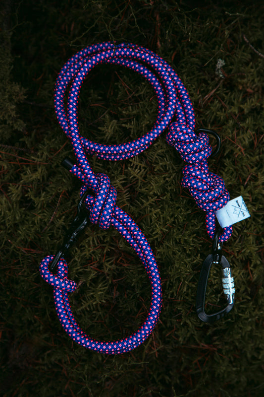 Hundeleine - Northern Summit Collection „Mountain Climber“