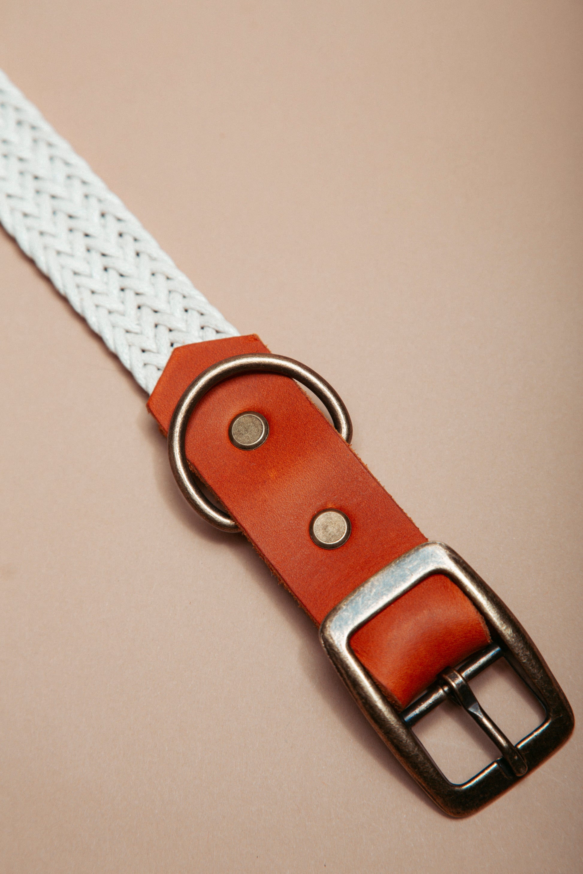 „Robustes, handgemachtes Hundehalsband aus  gepflochtenem Gurtband und weichem Fettleder  im beliebten Bohostil – langlebige, stylische Dogwear. Das Hundezubehör für deinen Alltag oder dein nächstes Abenteuer! 