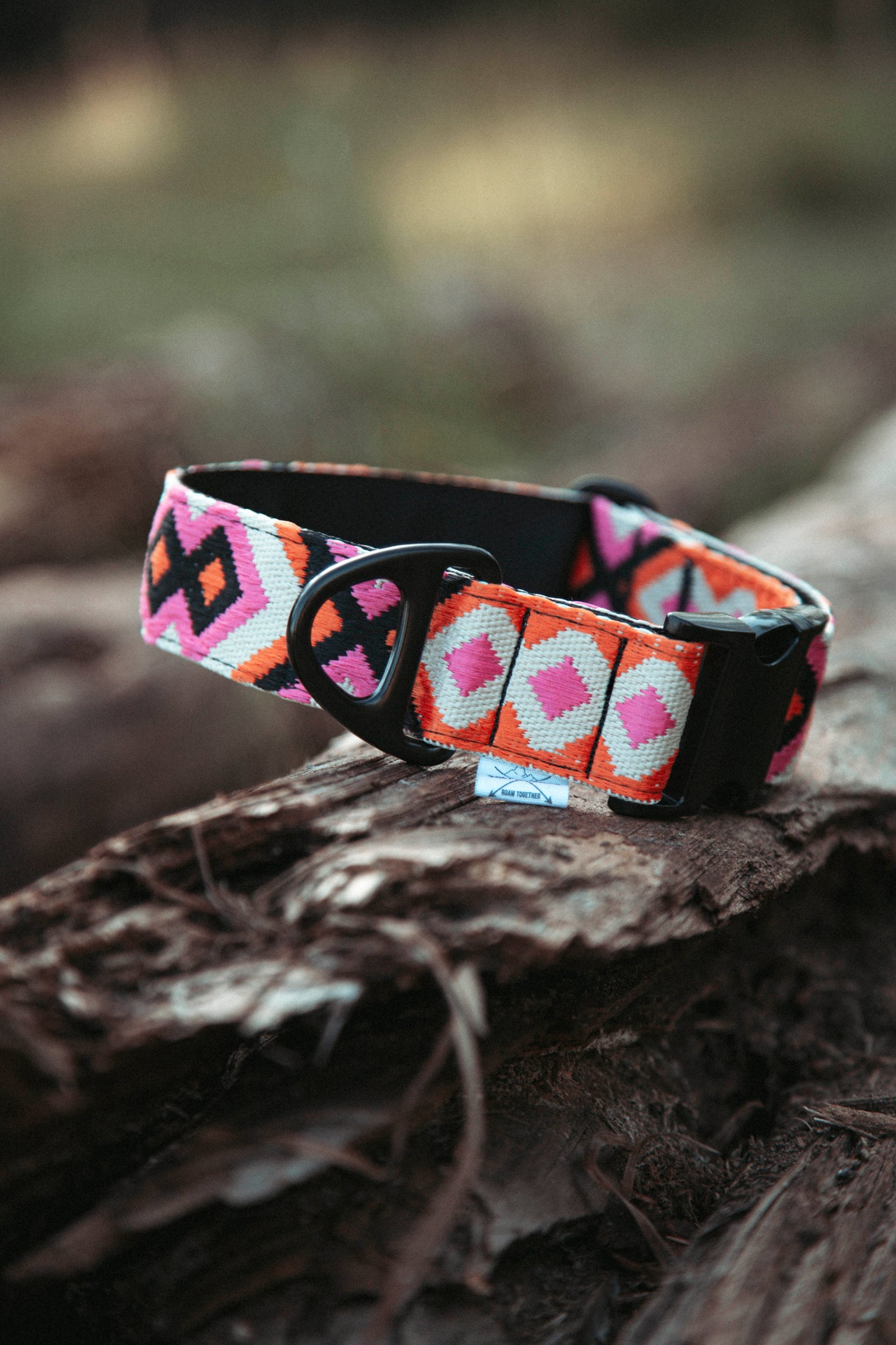 Hundehalsband | Wild Nomad | verstellbares Halsband für Hunde