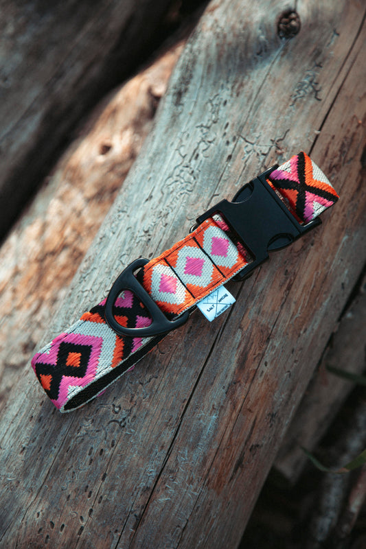 Hundehalsband | Wild Nomad | verstellbares Halsband für Hunde