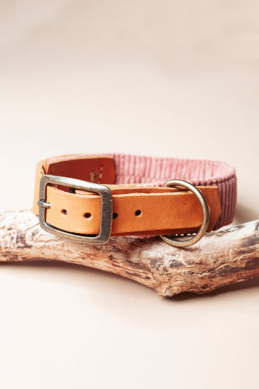 Hundehalsband - Roséwood