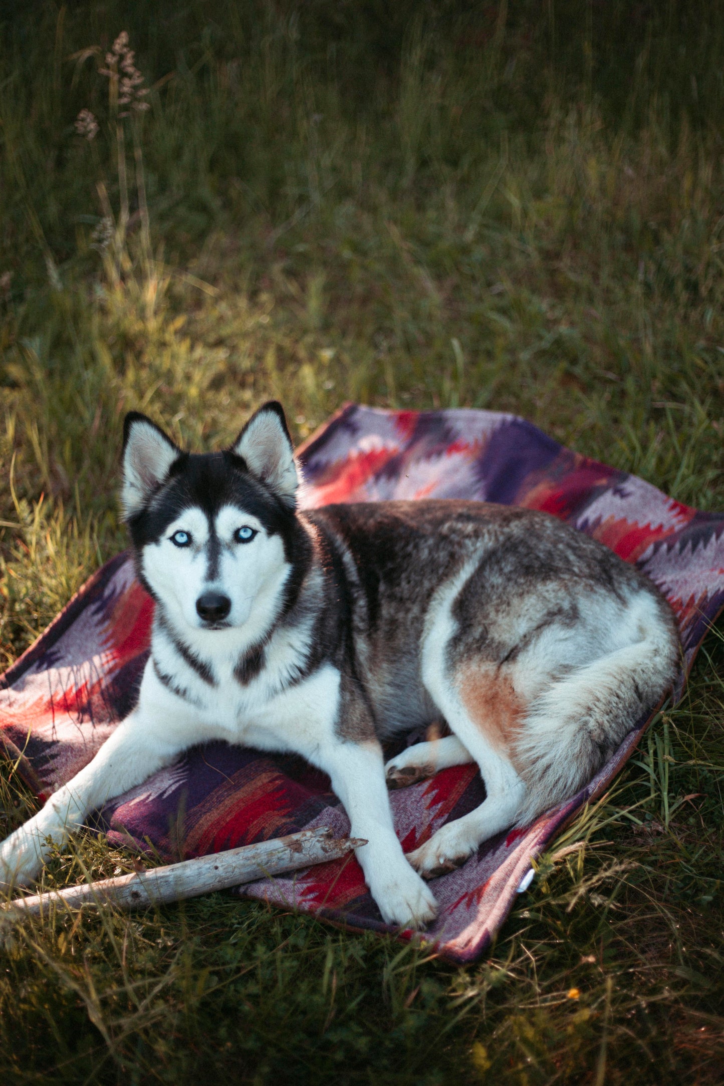 Cozy Camp Blanket | Wildcamp