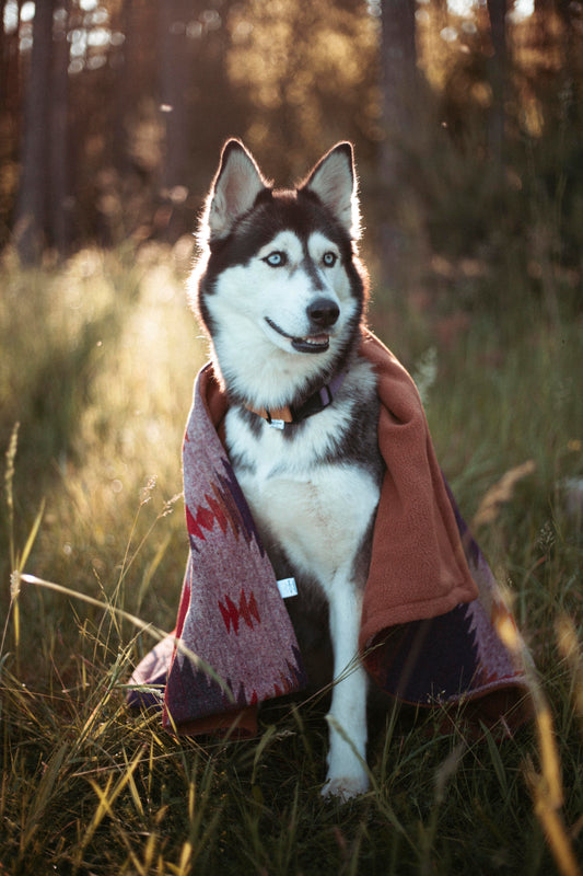 Cozy Camp Blanket | Wildcamp