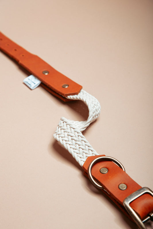 „Robustes, handgemachtes Hundehalsband aus  gepflochtenem Gurtband und weichem Fettleder  im beliebten Bohostil – langlebige, stylische Dogwear. Das Hundezubehör für deinen Alltag oder dein nächstes Abenteuer! 