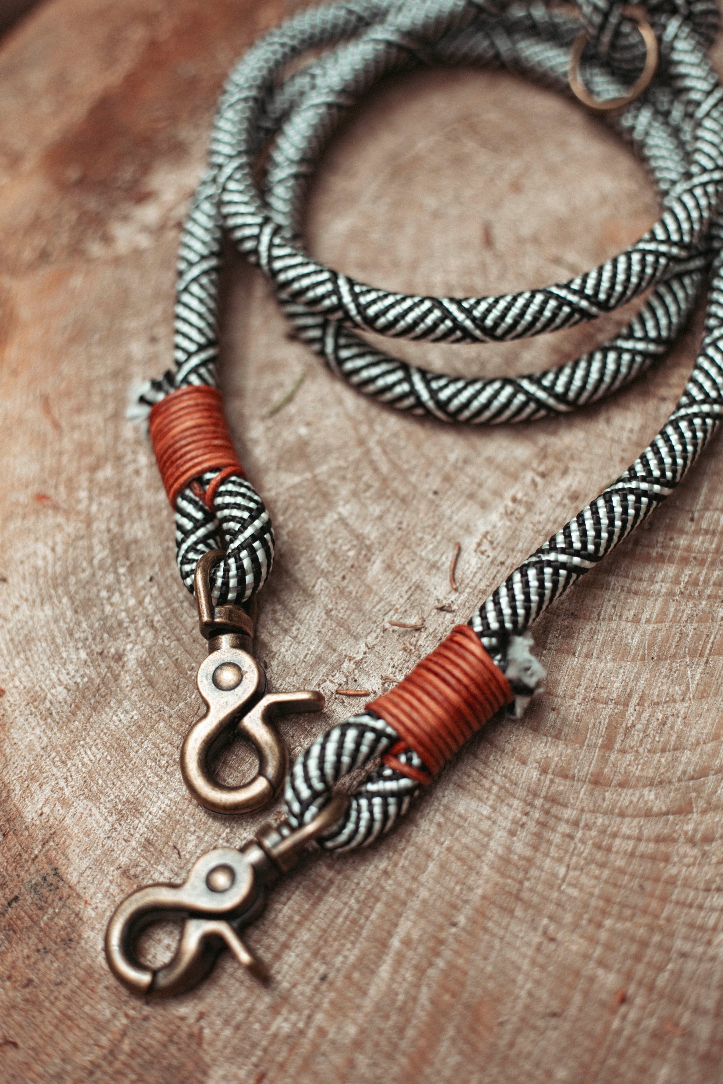 Hundeleine Highland | Multifunktionale Leine aus Paracord & Leder | Mix & Match