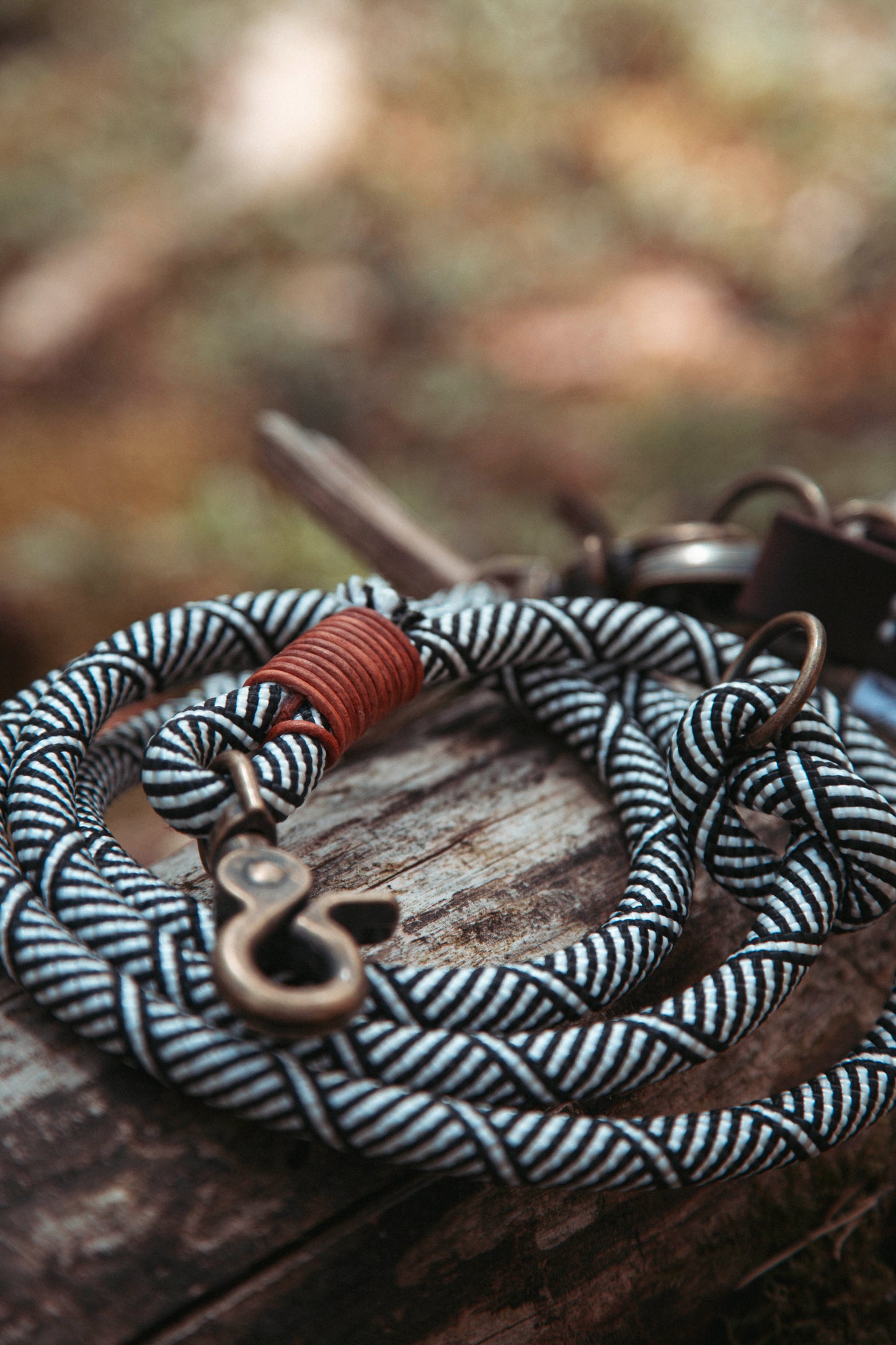 Hundeleine Highland | Multifunktionale Leine aus Paracord & Leder | Mix & Match