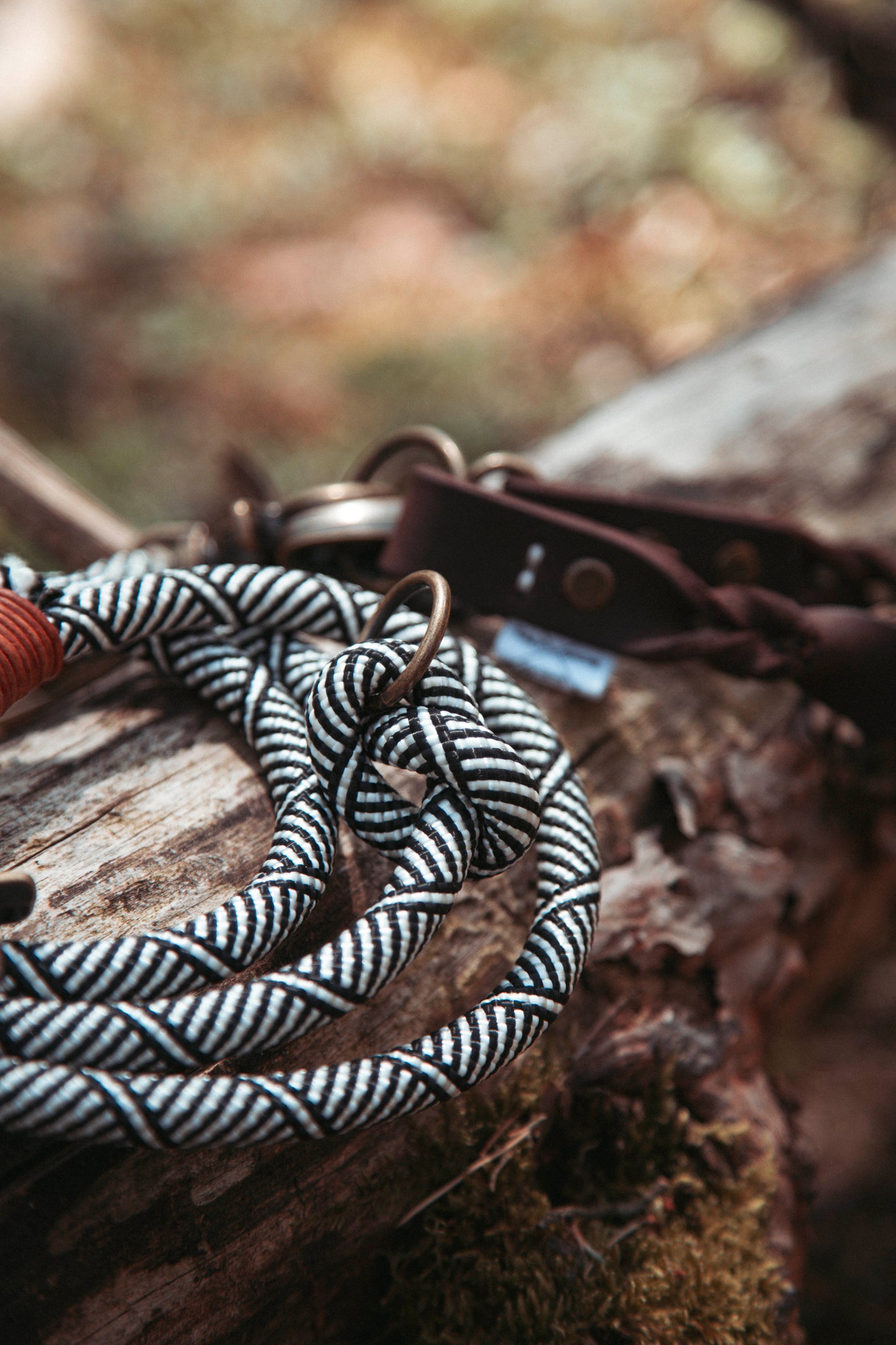 Hundeleine Highland | Multifunktionale Leine aus Paracord & Leder | Mix & Match