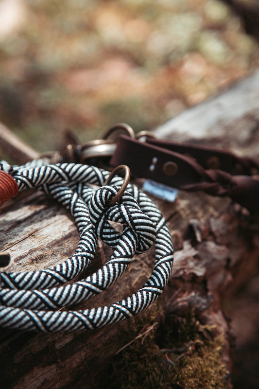 Hundeleine Highland | Multifunktionale Leine aus Paracord & Leder | Mix & Match