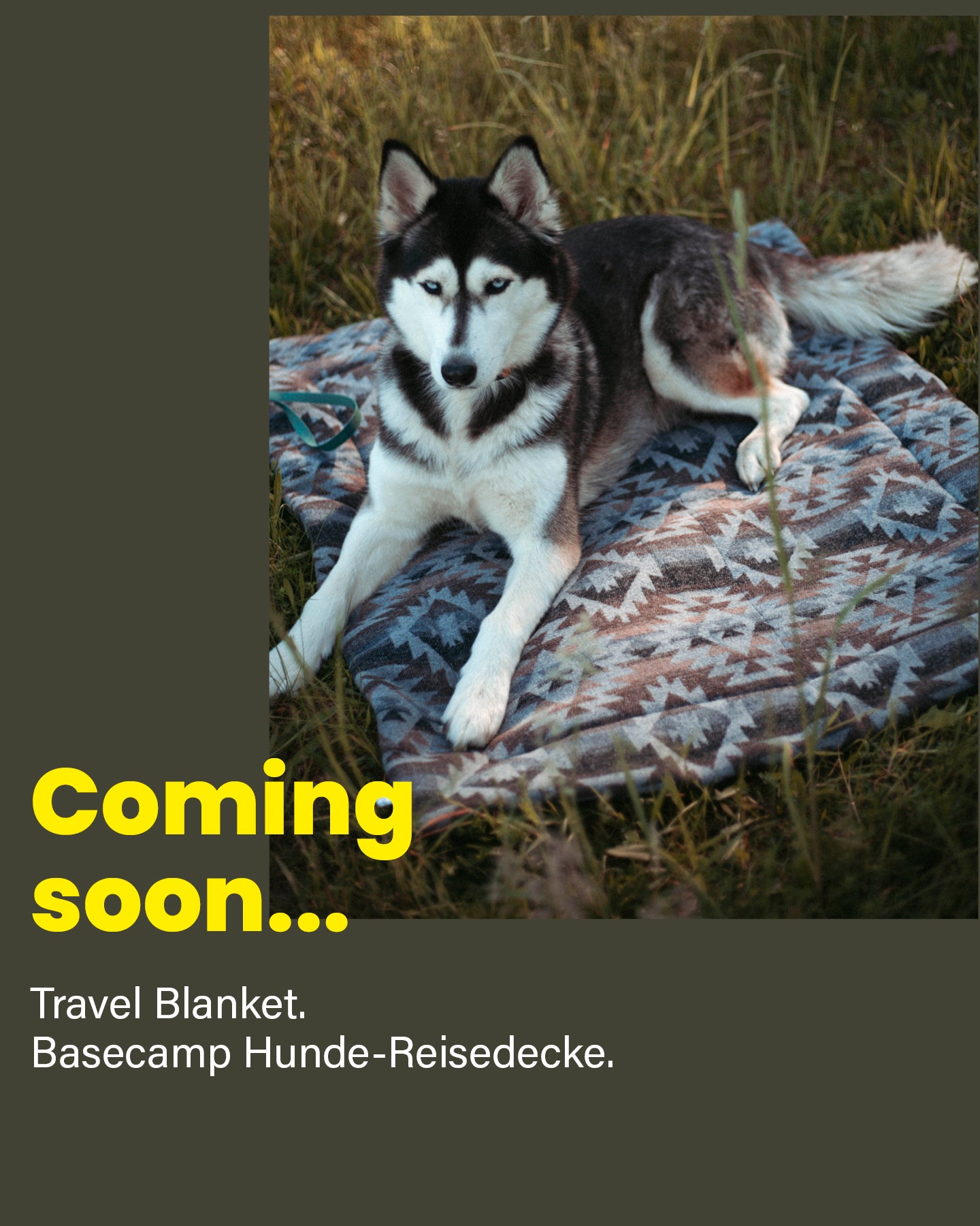 Travel Blanket | Basecamp | Pine & Peak