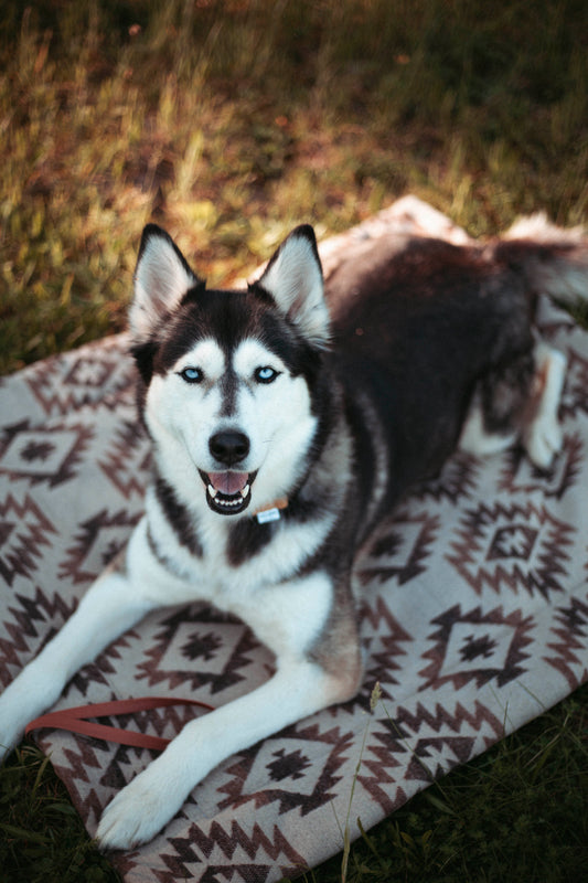 Travel Blanket | Basecamp | Roots of the North