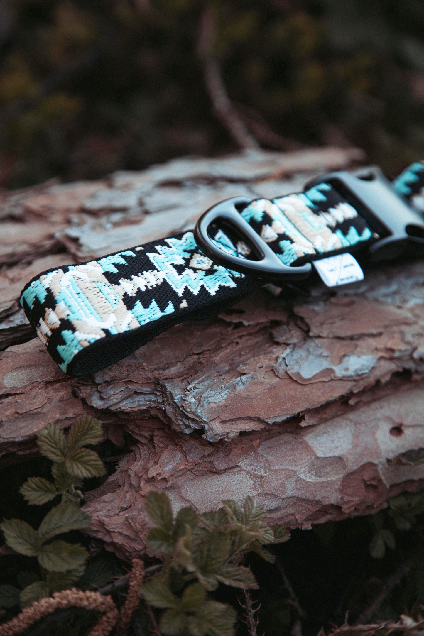 Verstellbares Hundehalsband | Ice Peak