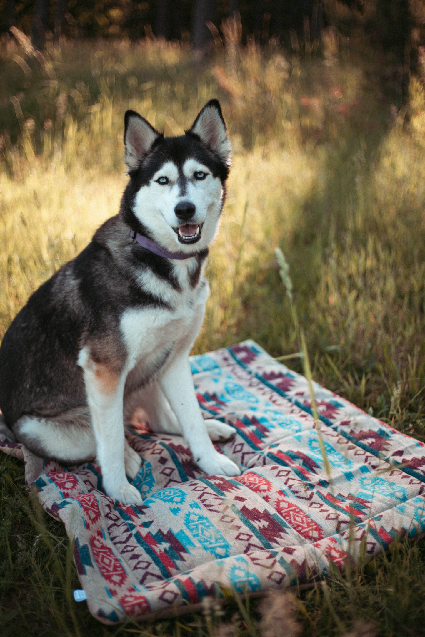 Travel Blanket | Basecamp | Northwood Collection